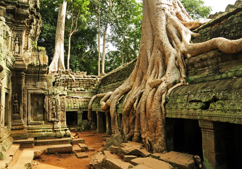Ta Prohm Temple: Cambodia Tomb Raider Temple & A Must-Visit Temple